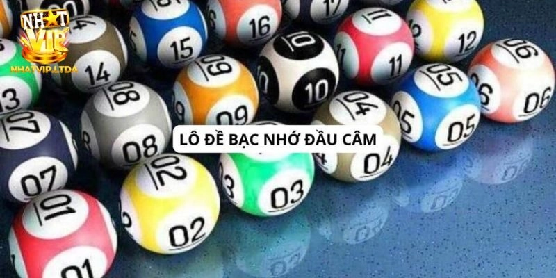 Giải thích thuật ngữ “bạc nhớ đầu câm”