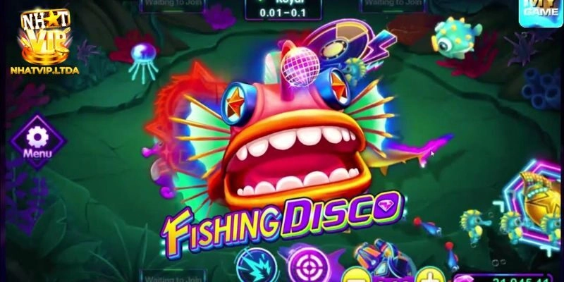 Đôi nét về Fishing Disco