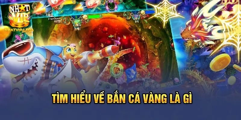 Bắn cá ăn vàng là gì?